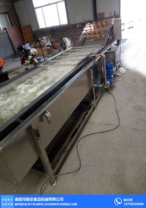 顺业食品机械 气泡清洗机研发与厂址信息